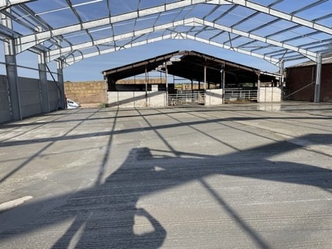 Finished open cattle housing interior with concrete floor