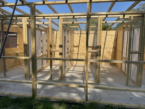 Timber pen runs inside the cattery